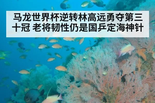 马龙世界杯逆转林高远勇夺第三十冠 老将韧性仍是国乒定海神针